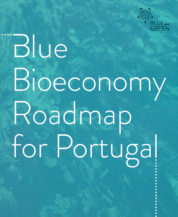 Captura de ecrã 2026-02-06 144046